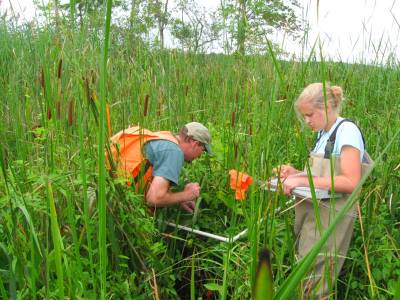 Catskill Marsh 2009-5