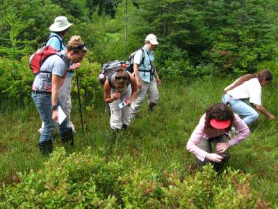 IMG_1989 Identifying plants in the bog
