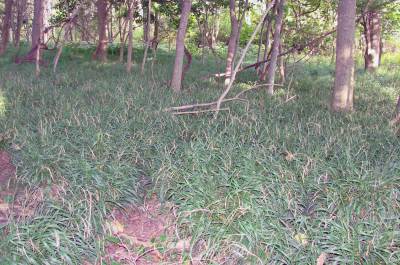 A solid stand at Bergen.