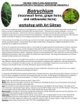 Botrychium workshop write-up