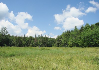 Thousand Acre fen views-002
