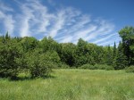 View of marsh and&nbsp;clouds