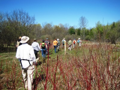 Field trip participants walk into the swamp.